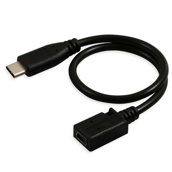 Mini USB 5Pin auf Typ-C Buchse Adapter (5)