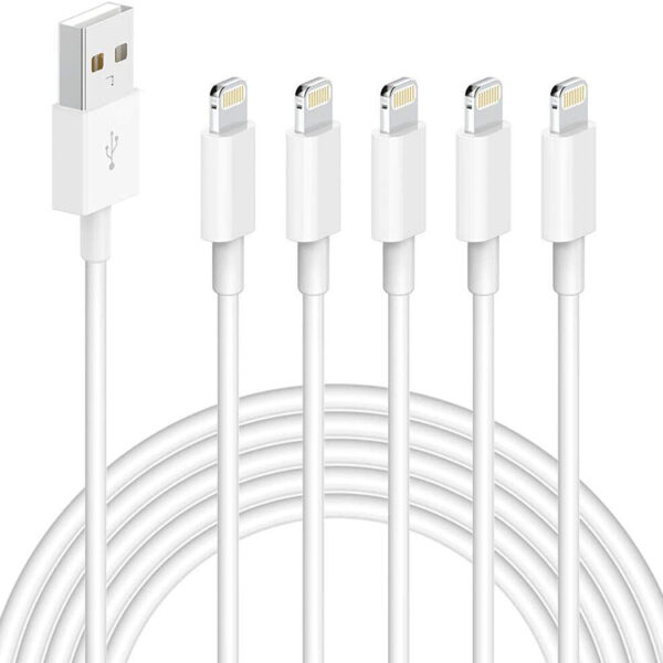 iPhone cable (1)